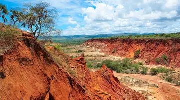 Madagaskar - aleja baobabów i parki narodowe