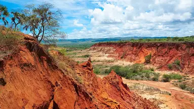 Madagaskar - aleja baobabów i parki narodowe