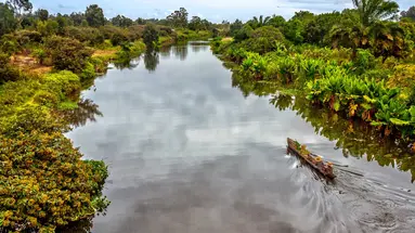 Madagaskar- Natura Lemura
