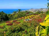 MADEIRA WYSPA WIECZNEJ WIOSNY