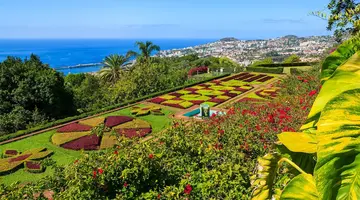 MADEIRA WYSPA WIECZNEJ WIOSNY