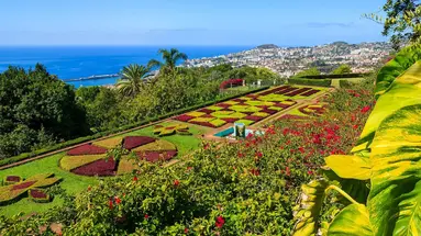 MADEIRA WYSPA WIECZNEJ WIOSNY