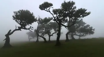 Madera Wyspa Wiecznej Wiosny (zwiedzanie)