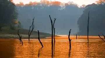 Magia Indii: Bombaj I Zielona Kerala
