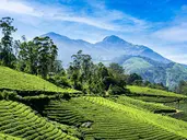 Magia Indii: Bombaj I Zielona Kerala