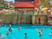 Magic Aqua Rock Gardens
