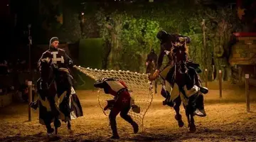 Magic Robin Hood