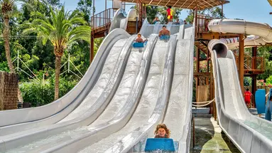 Magic Tropical Splash