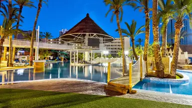 Magic Tropical Splash