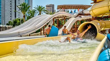 Magic Tropical Splash