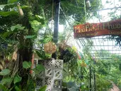 MAI BINH PHUONG BUNGALOW