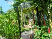 MAI BINH PHUONG BUNGALOW