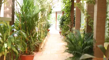 MAI PHUONG BINH BUNGALOW