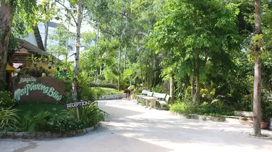 MAI PHUONG BINH BUNGALOW