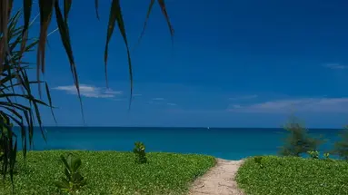 Maikhao Palm Beach