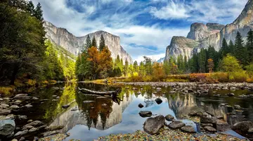 Majestat wiecznie zielonych sekwoi