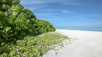 MAKUNUDU ISLAND