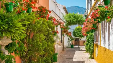 Malaga City Break (zwiedzanie)