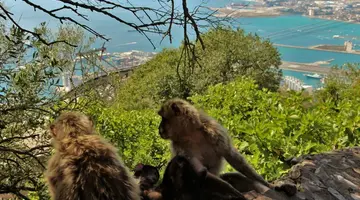 Malaga City Break (zwiedzanie)