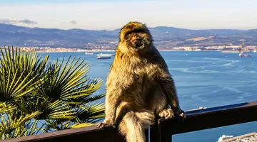 Malaga City Break (zwiedzanie)