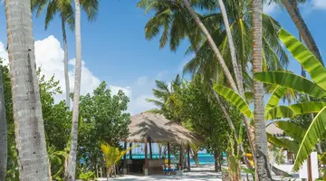 Malahini Kuda Bandos