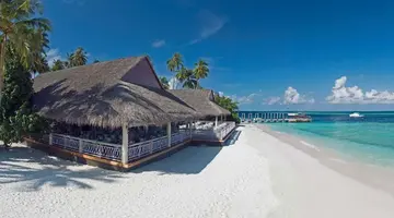 Malahini Kuda Bandos
