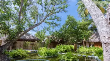 Malahini Kuda Bandos