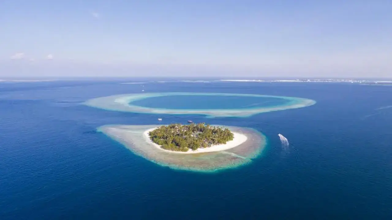 Malahini Kuda Bandos