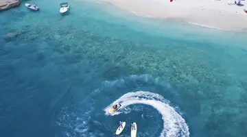 Malahini Kuda Bandos