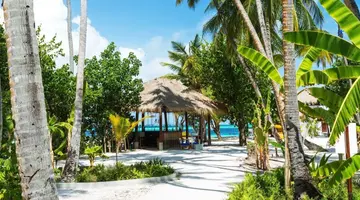MALAHINI KUDA BANDOS