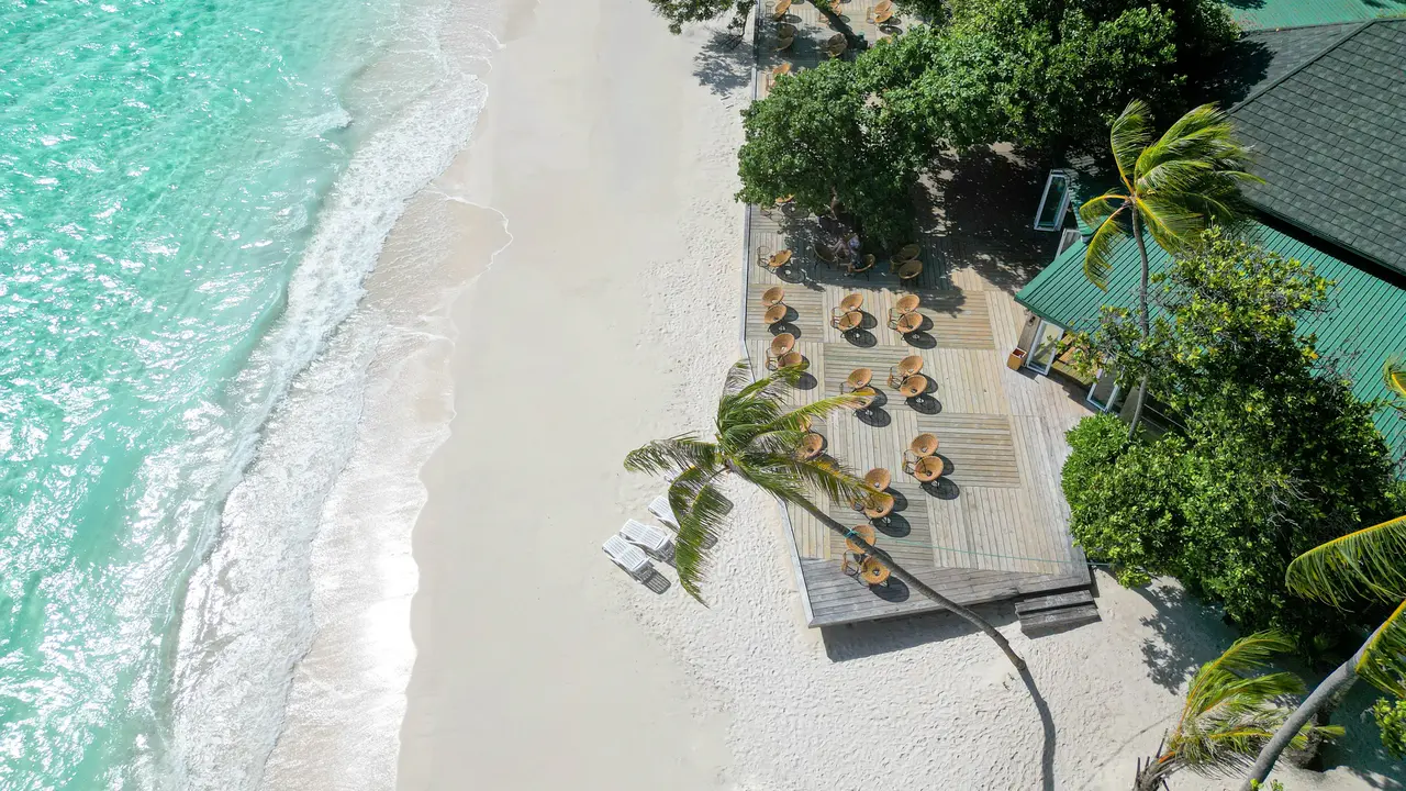 Malahini Kuda Bandos