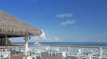 Malahini Kuda Bandos