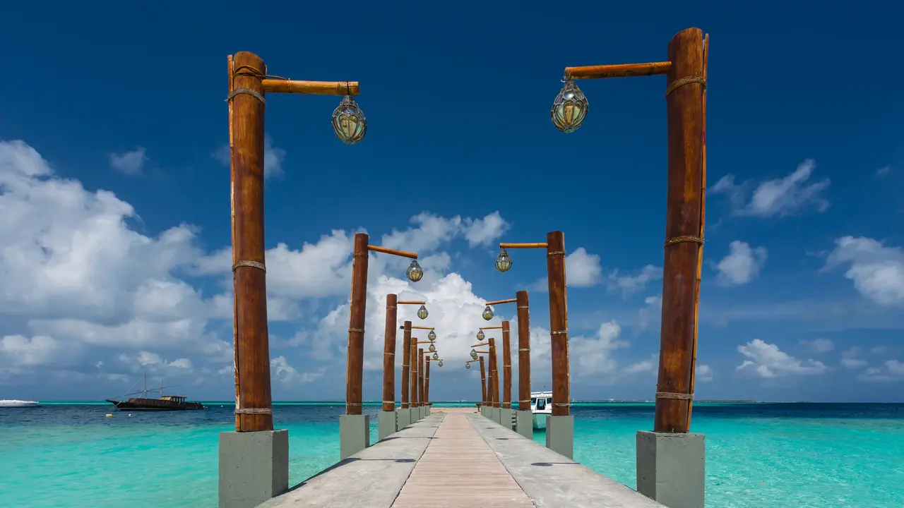 Malahini Kuda Bandos