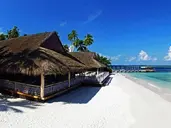 MALAHINI KUDA BANDOS