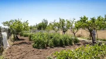 Malemi Organic