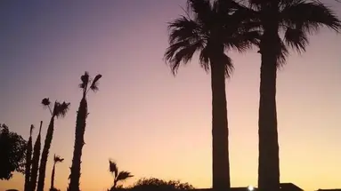 Malia Bay Beach Hotel & Bungalows