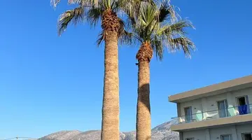 Malia Bay Beach Hotel & Bungalows