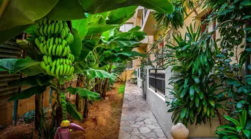Malia Mare Hotel