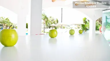 Malibu Boutique Studios
