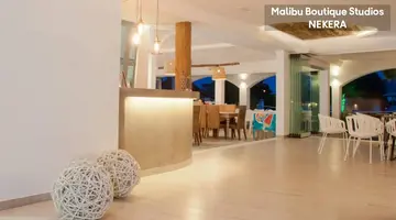 Malibu Boutique Studios