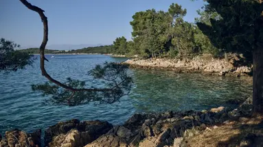 Malinska Green Apartments
