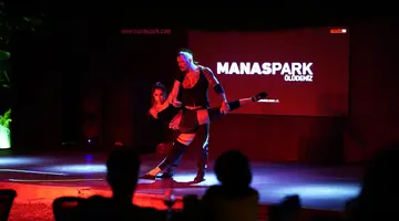 MANASPARK DELUXE HOTEL