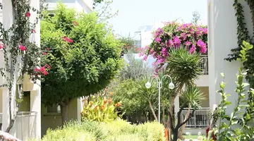 Mandarin Resort & Spa