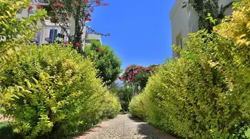 Mandarin Resort & Spa