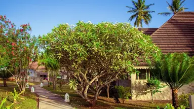 Mandarin Resort Zanzibar