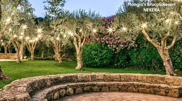 Mangia's Brucoli, Sicily, Autograph Collection