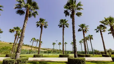 Mangia s Selinunte Resort