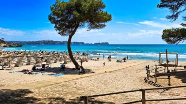 Mar Paguera & Spa