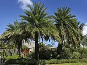 MARADIVA VILLAS RESORT &SPA