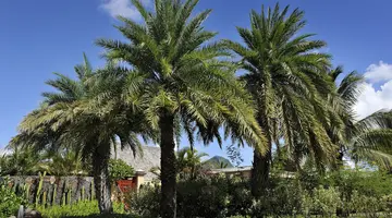 MARADIVA VILLAS RESORT &SPA